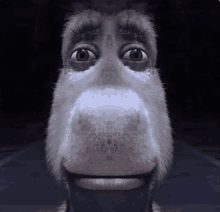 Shrek Donkey Face GIFs